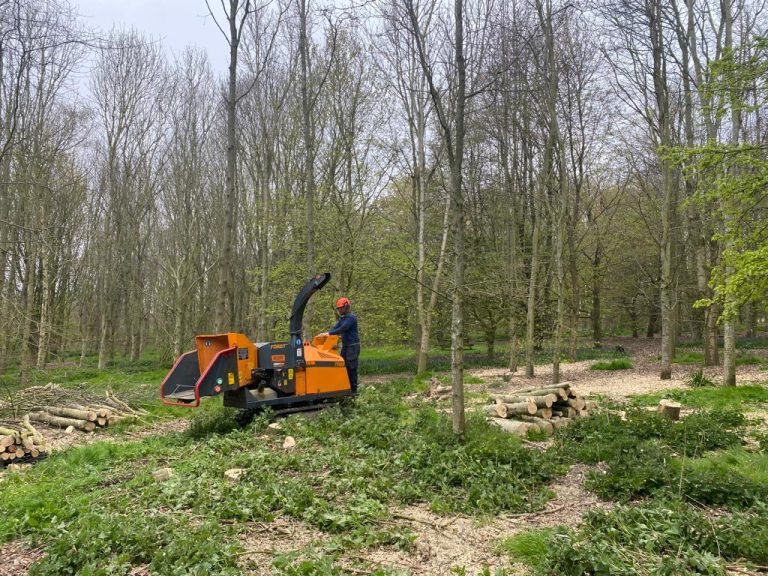 Land-Management-page-1- (1)