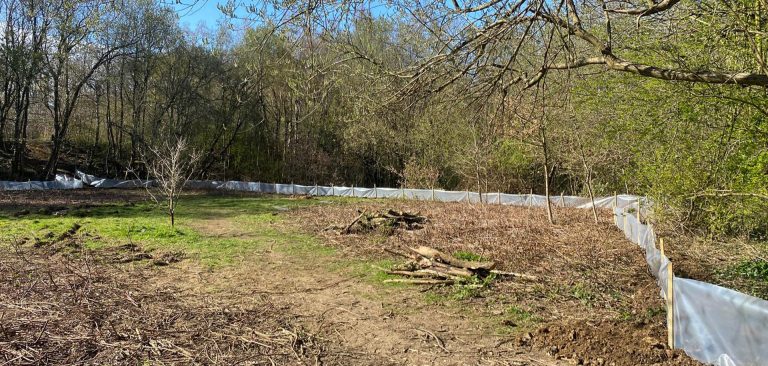 ecological-services-form