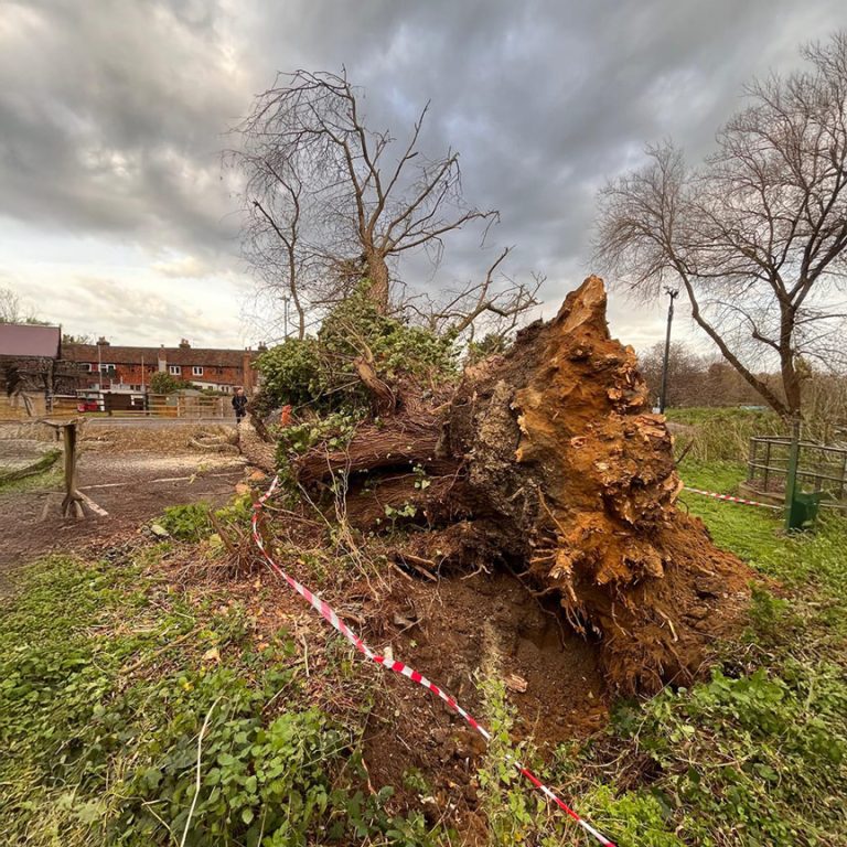 emergency-call-out-tile